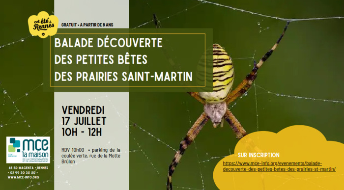 Balade découverte des petites bêtes des prairies Saint-Martin Parking de la Motte Brûlon (coulée verte) Rennes