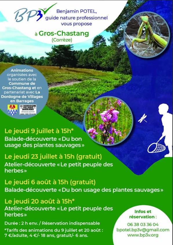 Balade découverte Du bon usage des plantes sauvages  Gros-Chastang
