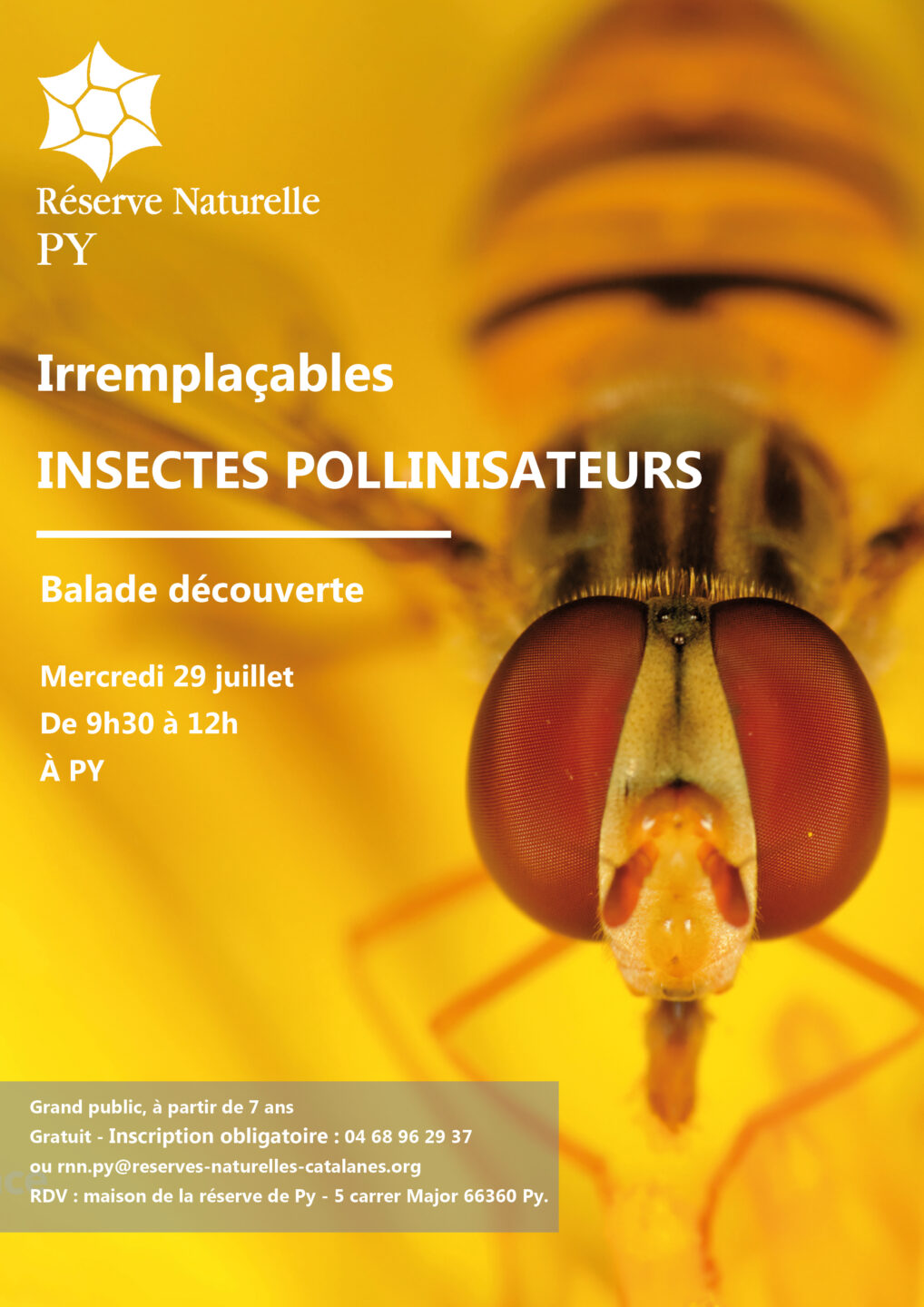 BALADE DÉCOUVERTE IRREMPLAÇABLES INSECTES POLLINISATEURS  Py