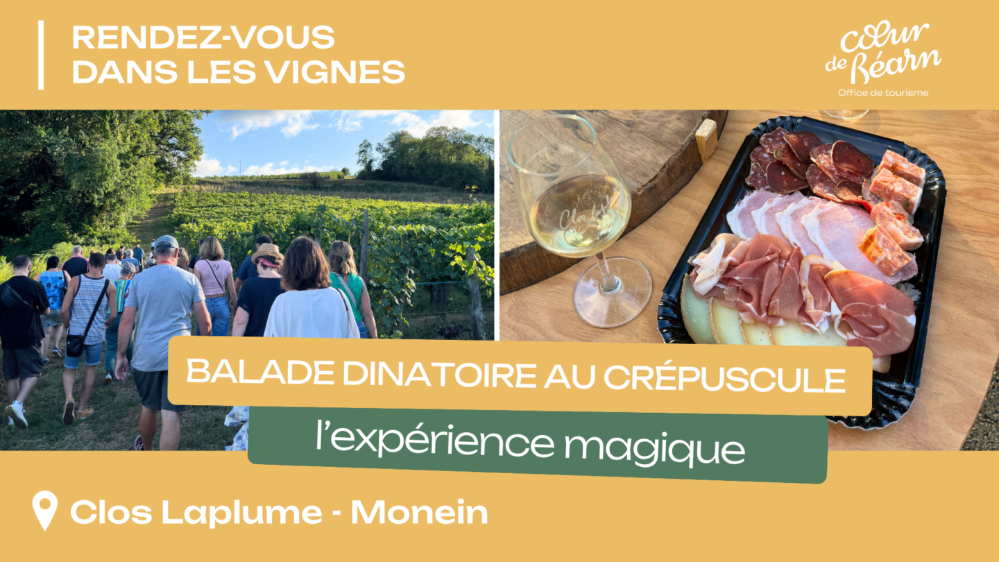 Balade dinatoire au crépuscule Clos Laplume Monein