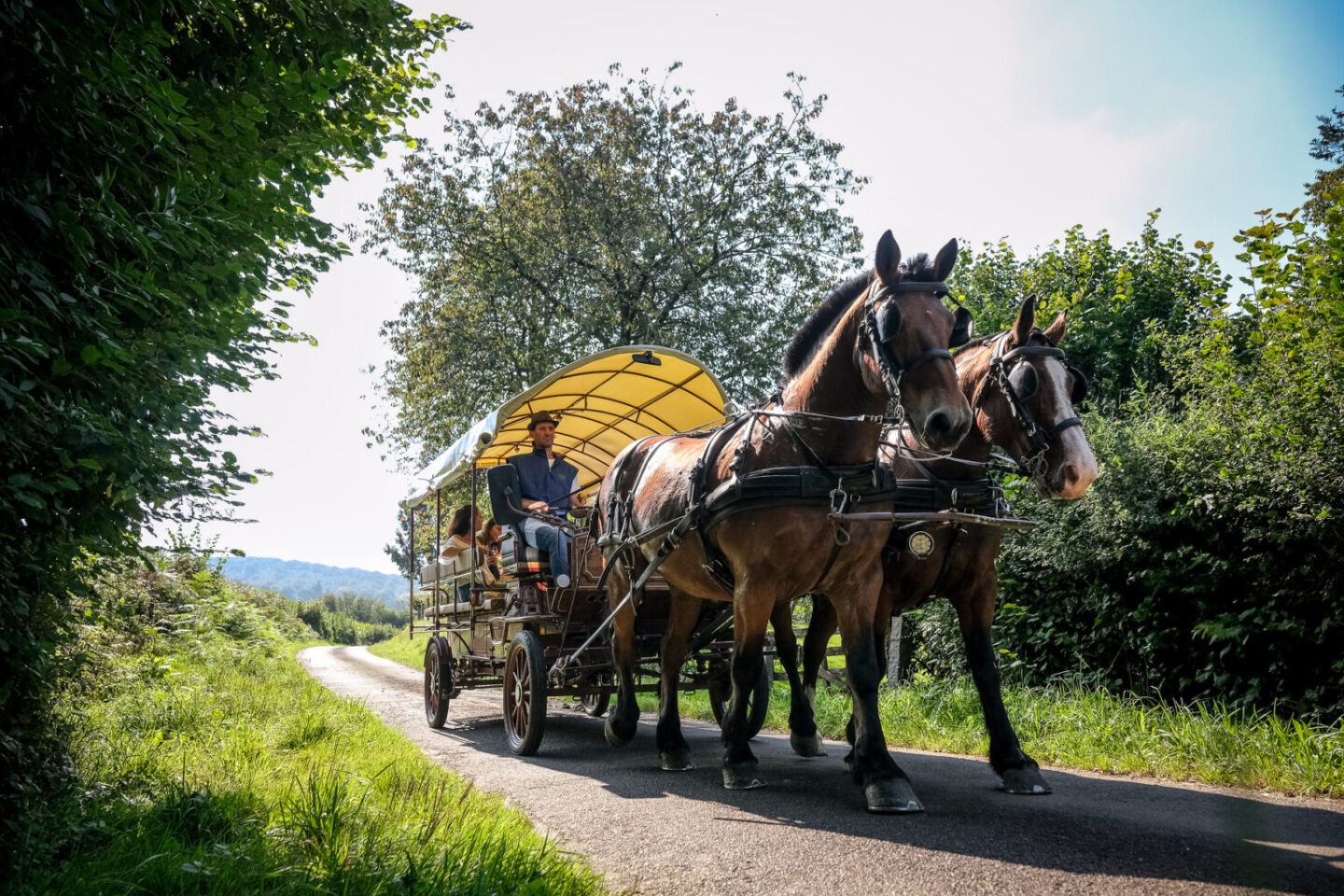 Balade en calèche au coeur du bocage Saint-Manvieu-Bocage Noues de Sienne