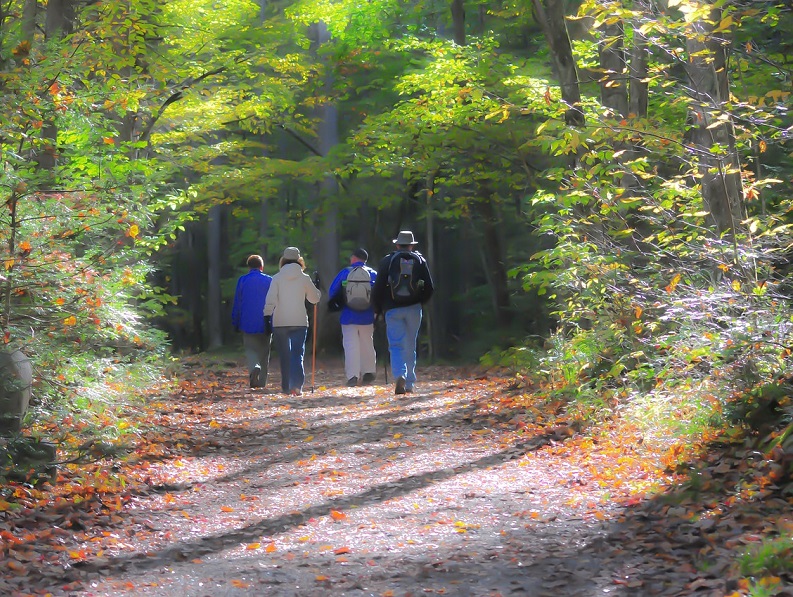 Balade en soirée Saint-André-du-Bois