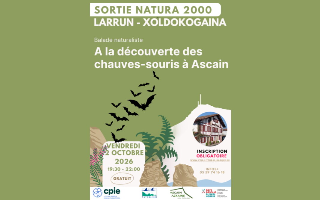 Balade naturaliste à la découverte des chauve-souris Ascain