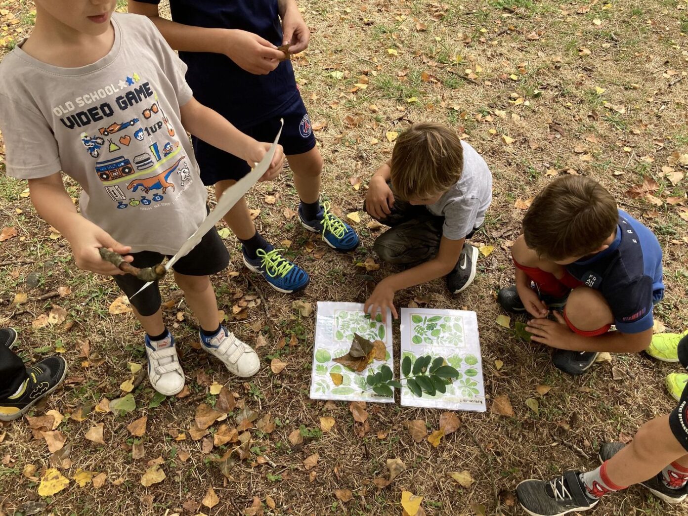 Balade nature en famille Bibliothèque Serres-Castet