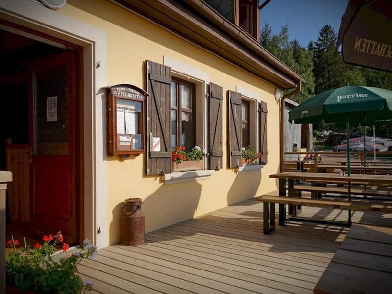 Balade pastorale ferme-auberge du Freundstein  Willer-sur-Thur