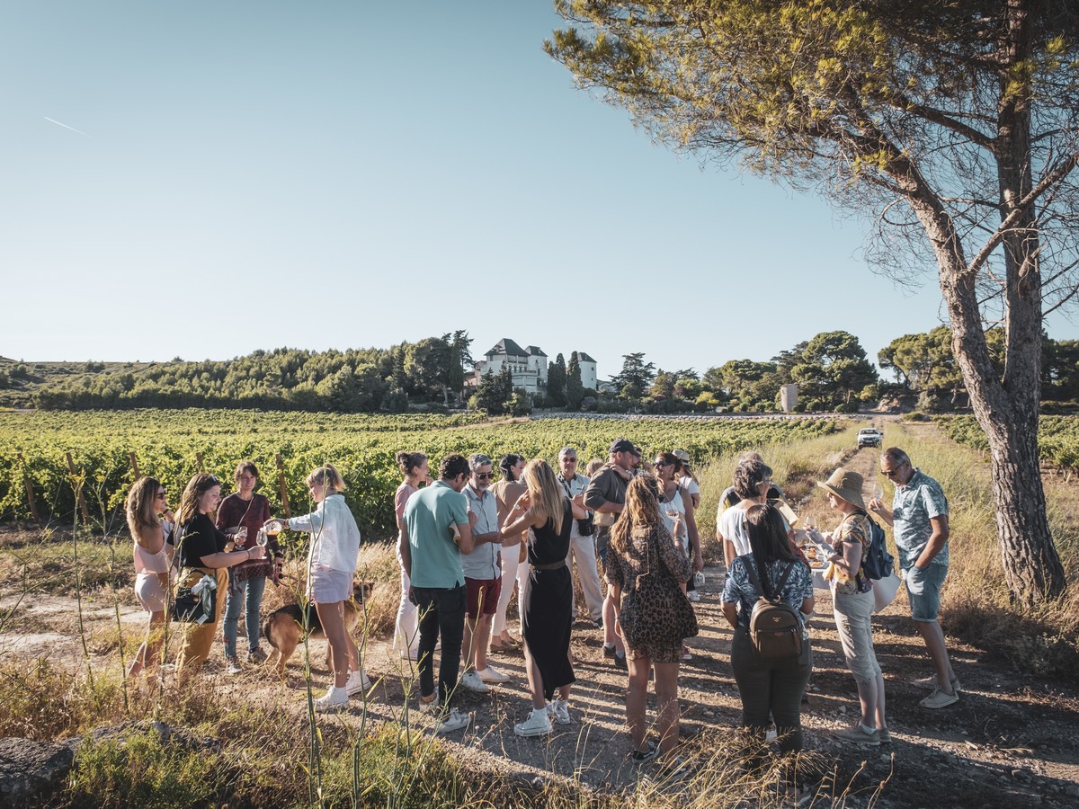 BALADE VIGNERONNE AU CHÂTEAU LA NÉGLY  Fleury