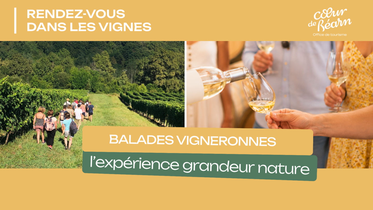Balade vigneronne Le Dôme 57 route de Coos Monein 2026-08-11