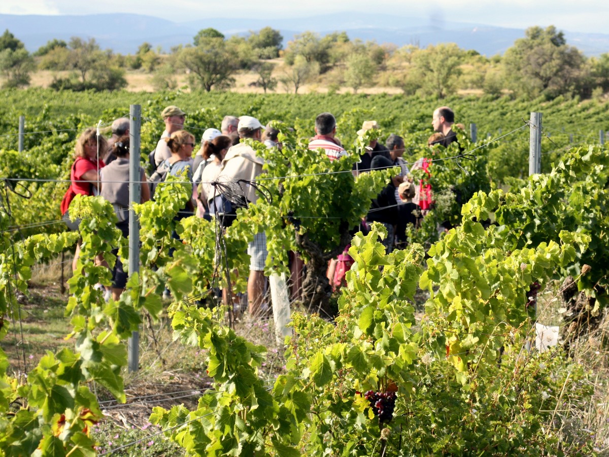 BALADES VIGNERONNES EN GRAND CARCASSONNE CHÂTEAU L’AMIRAL Aigues-Vives