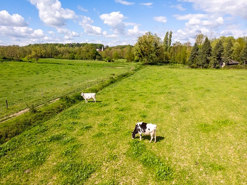 Beaux Lieux 2026 Loches