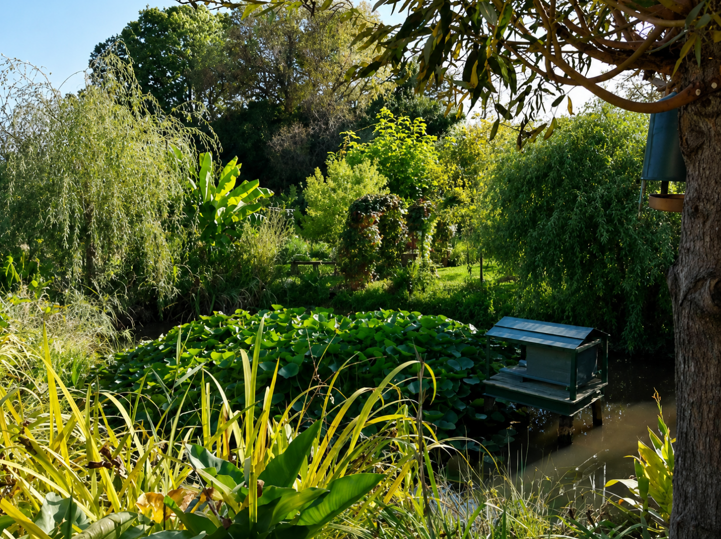 Bienvenue dans mon Jardin Le Jardin des Trois Mares Saint-Martin-d’Auxigny