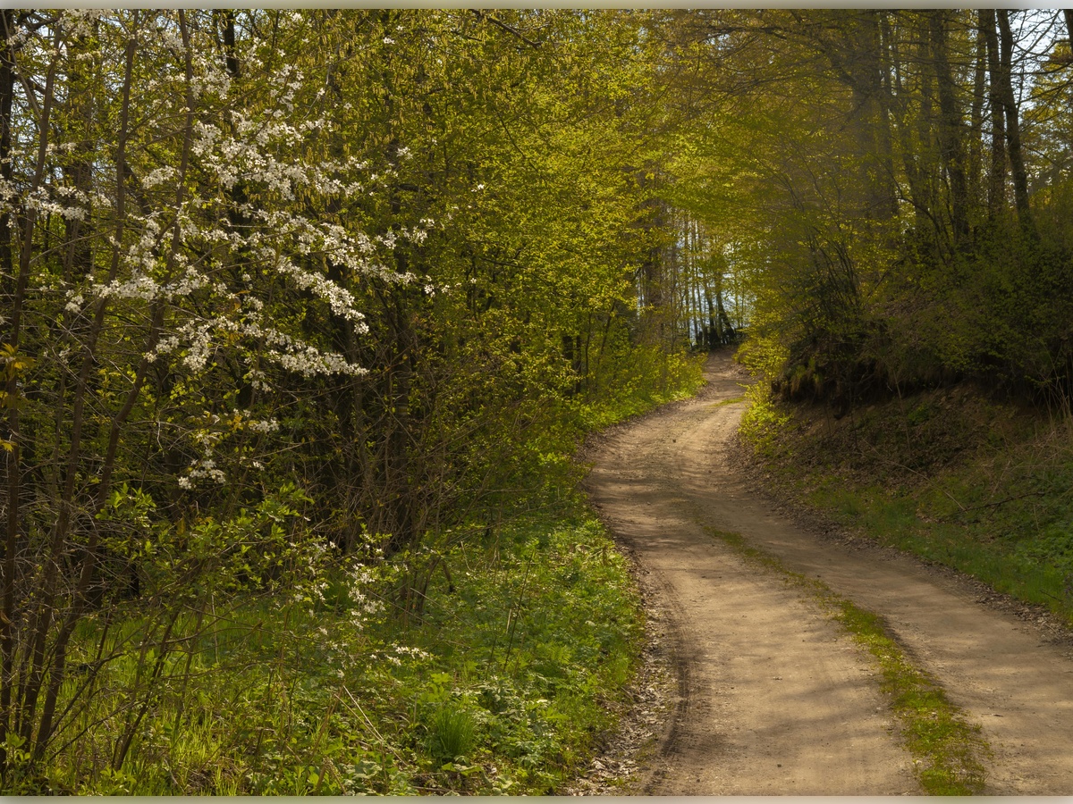 Bike & Run Rue du moulin Muneville-le-Bingard 2026-09-20