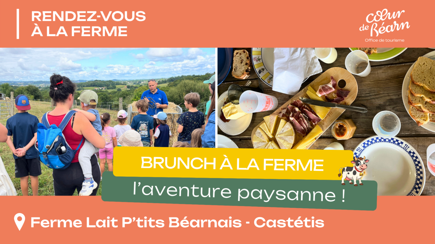 Brunch à la ferme 2400 chemin de Balasque Castétis 2026-08-13