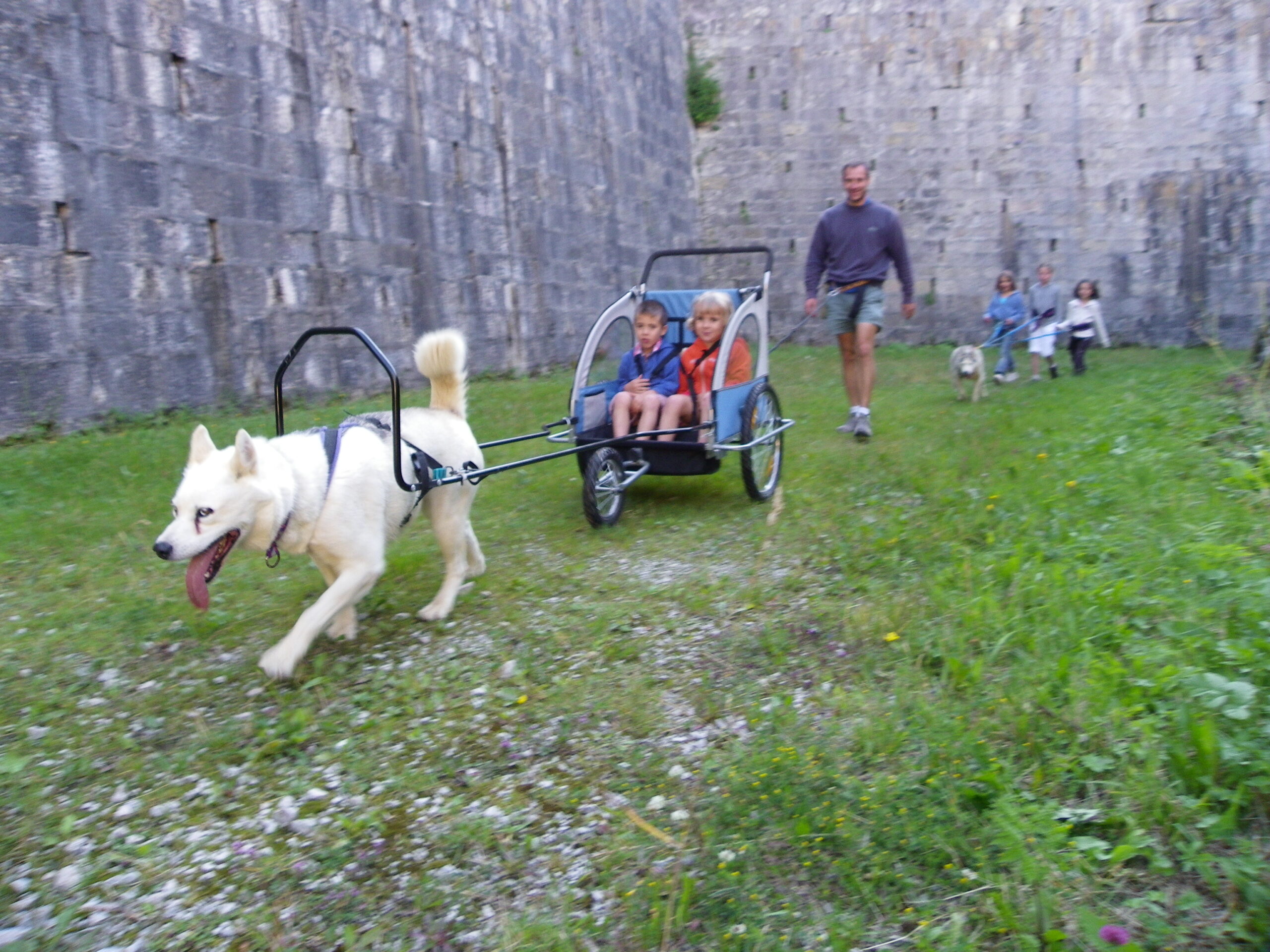 Cani rando et sulky familles 910 rue de Cernois Drillon Lamoura 2026-07-18