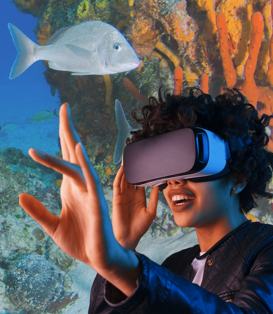 Casques à réalité virtuelle à Azay Azay-le-Ferron