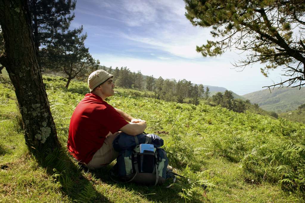 Cet été tous au sport Randonnée Les Champs Saint-Mathieu