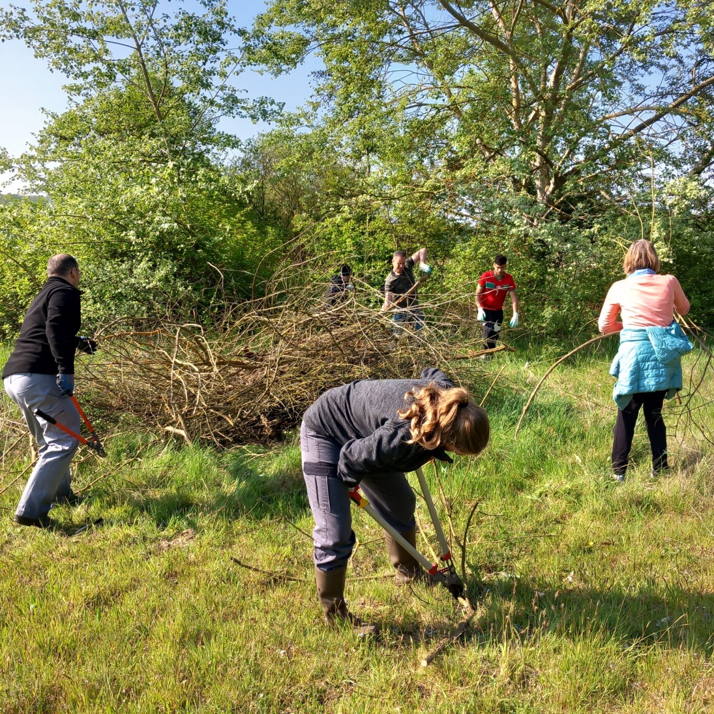 Chantier nature  Le Plessis-Brion