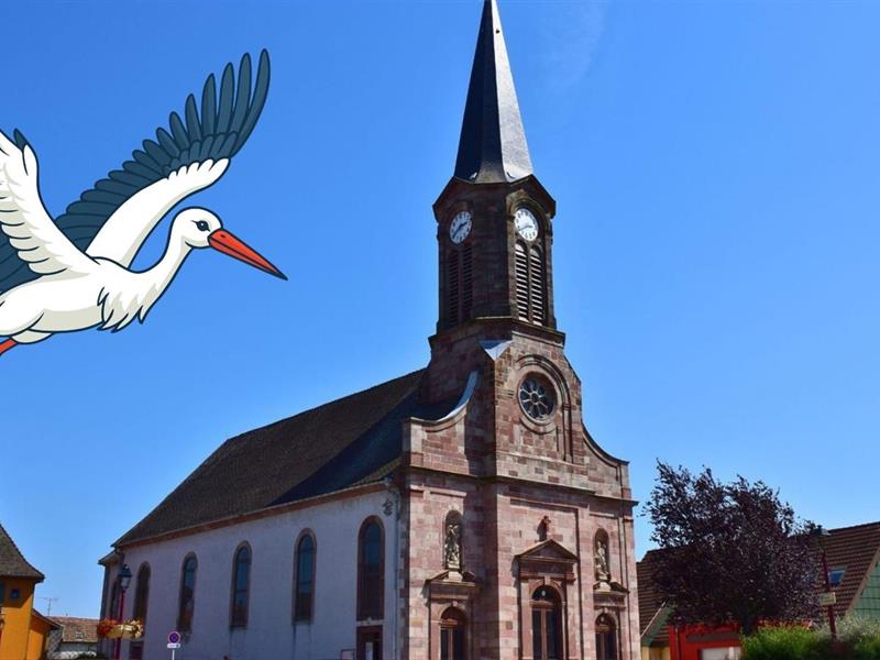 Chasse aux cigognes Sentheim