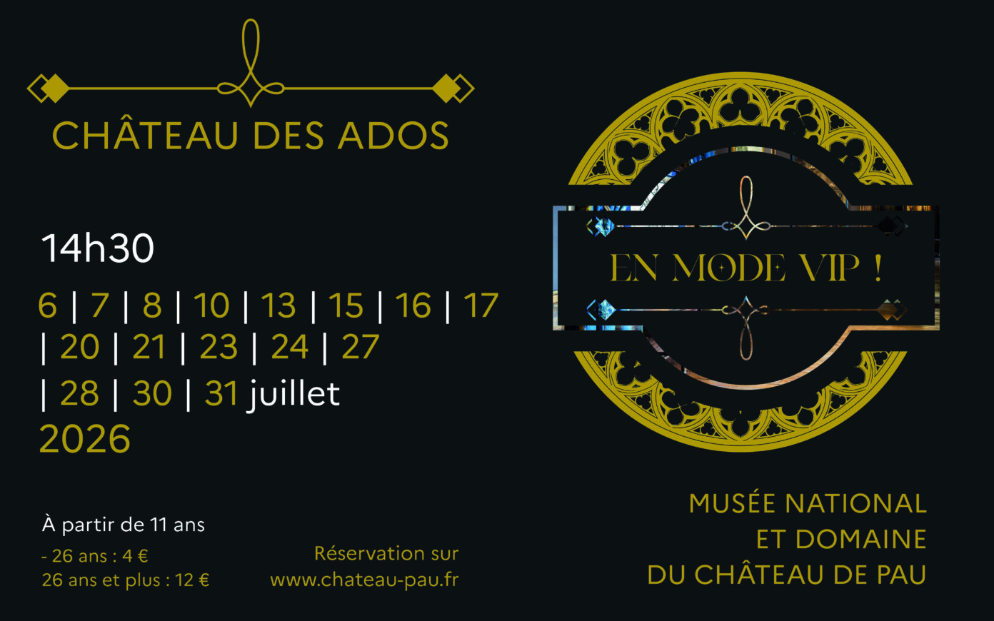 Château des ados en mode VIP Rue du Château Pau