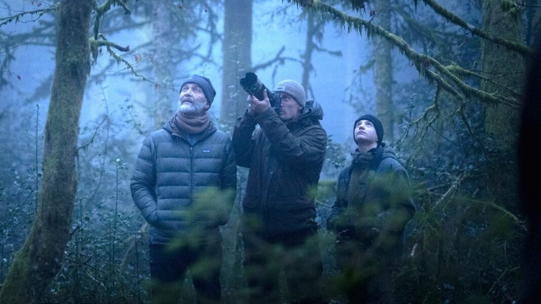 CINÉCO LE CHANT DES FORÊTS  Florac Trois Rivières