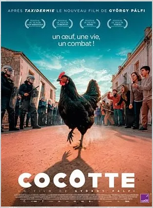 Cinéma Cocotte en VO  Saint-Affrique