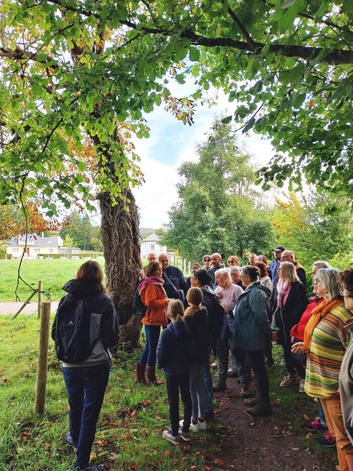 Circuit : balade nature à la découverte des arbres et de leurs vertus Parc de l'Abbaye du Valasse 76210 GRUCHET-LE-VALASSE Lillebonne