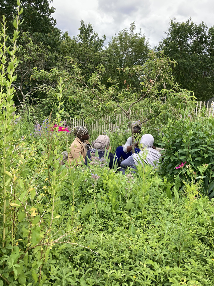Coin lecture en plein air avec la Bibliothèque de Villejean Ferme de Quincé Rennes