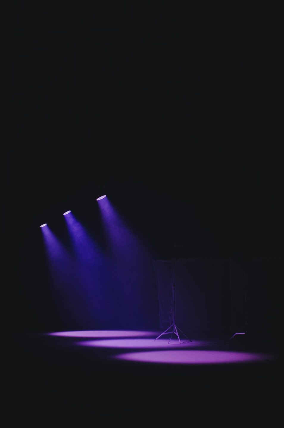 COMÉDIE MUSICALE ESMÉRALDA Llupia