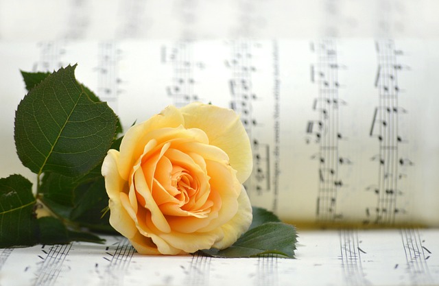 Concert de Choeur à Coeur Meyrals