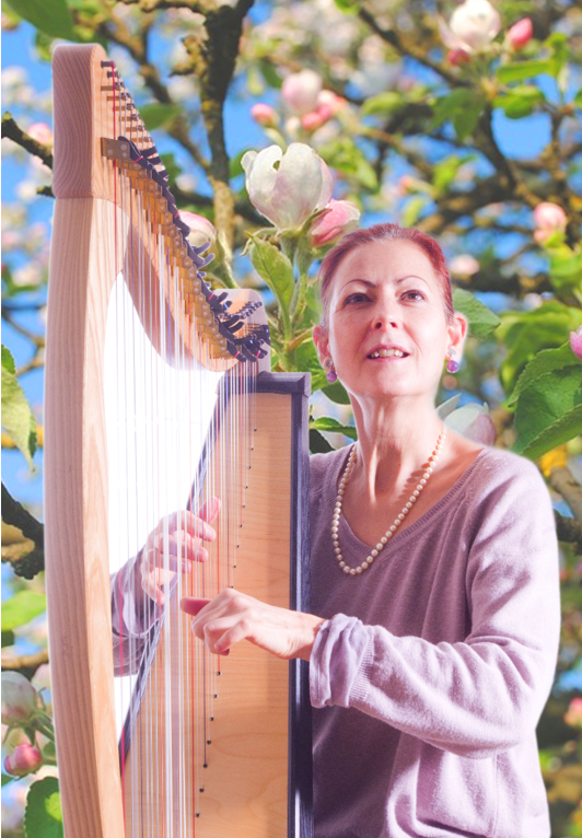 Concert Le bourg Dun-les-Places