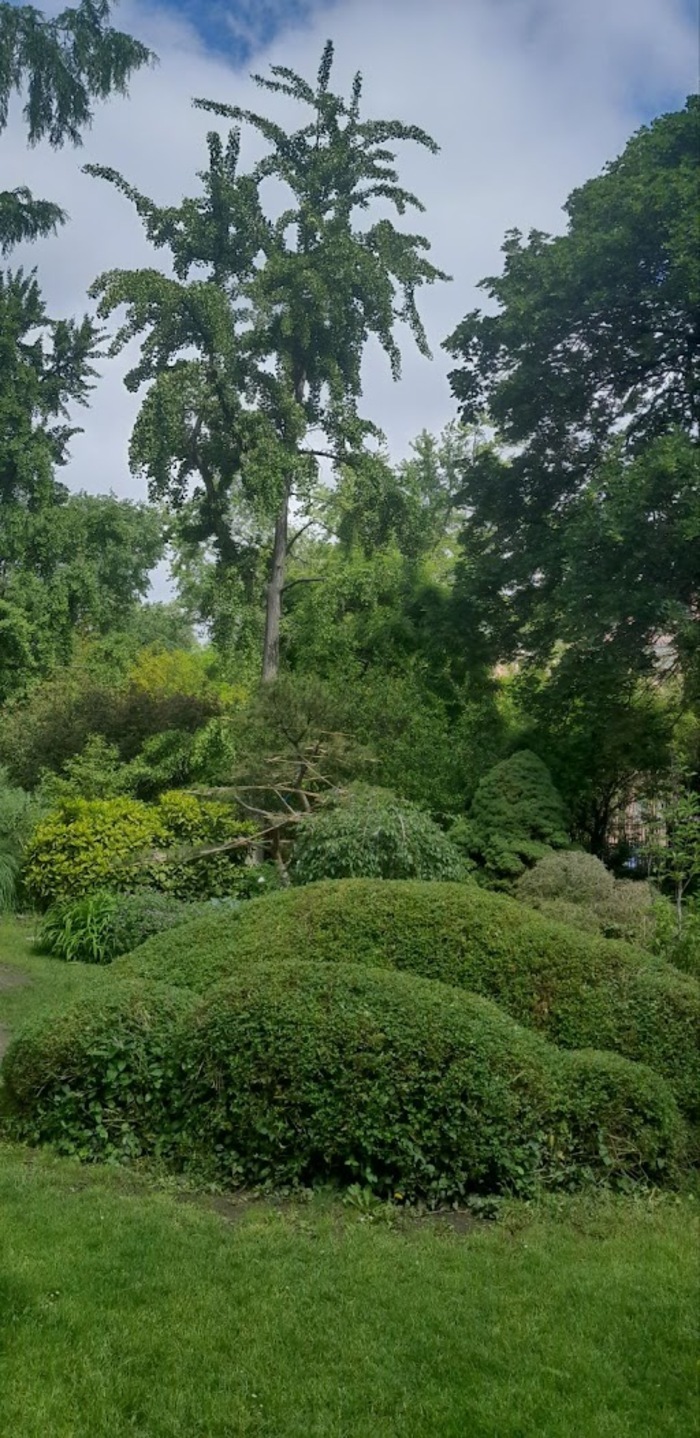Concert méditatif de flûte de Pan dans le jardin japonais Zugló, vieux de 100 ans., KMASZC – Varga Márton Kertészeti Technikum, Budapest