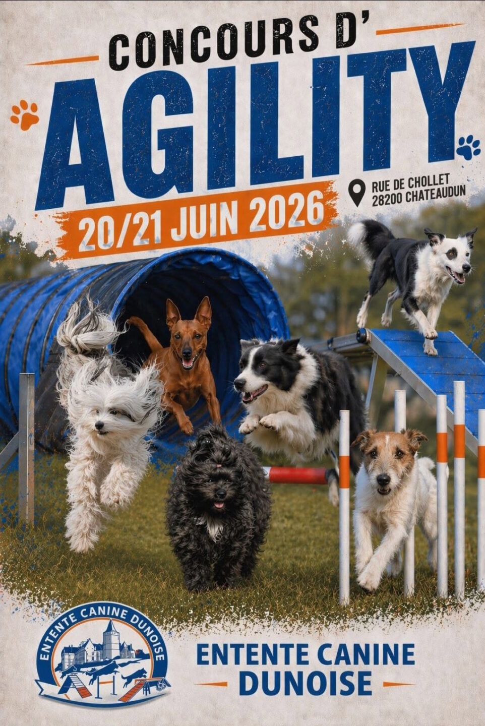 Concours d’Agility Châteaudun