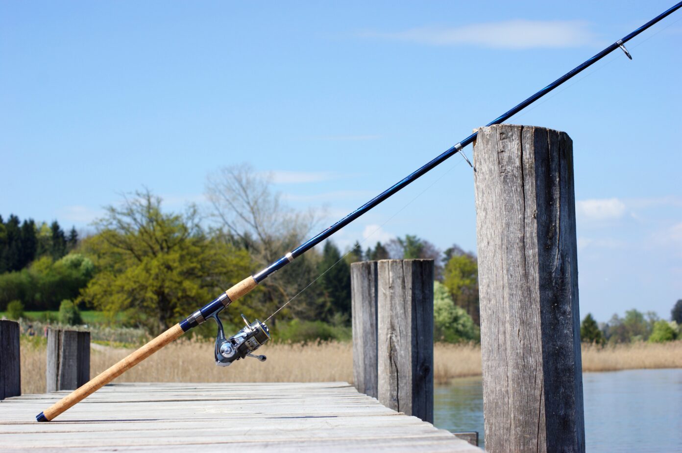 Concours de pêche à la truite des Ferias Route de Luë Parentis-en-Born