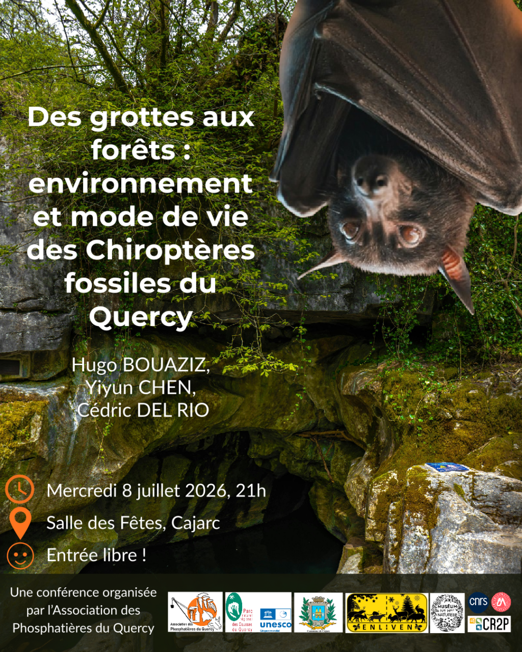 Conférence à Cajarc Des grottes aux forêts environnement et mode de vie des Chiroptères ….  Cajarc