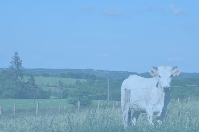 Conférence de Latitude, les Amis de Barbara Phillips Éleveurs et biodiversité une coopération vertueuse au service du territoire des Coteaux Gascons Saint-Martin-Labouval