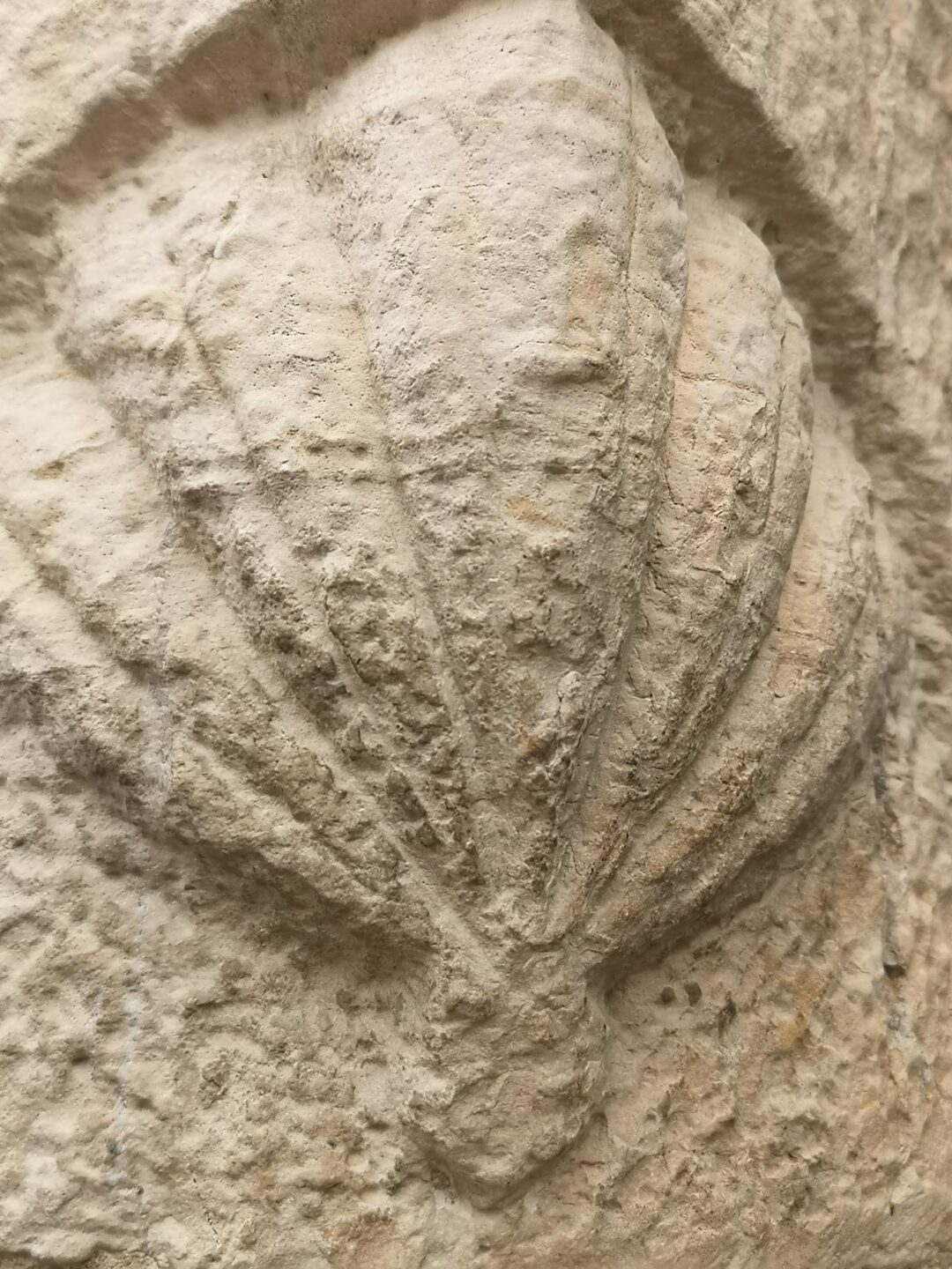 Conférence de Patrice Foissac Les chemins de pèlerinage en Quercy 5 bd Hugon Salviac 2026-10-23