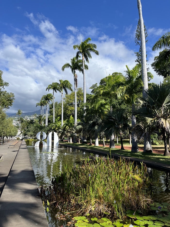 Conférence sur la « Vue au jardin » et balade paysagère et botanique au Jardin de l’État, CAUE de la Réunion, Saint-Denis