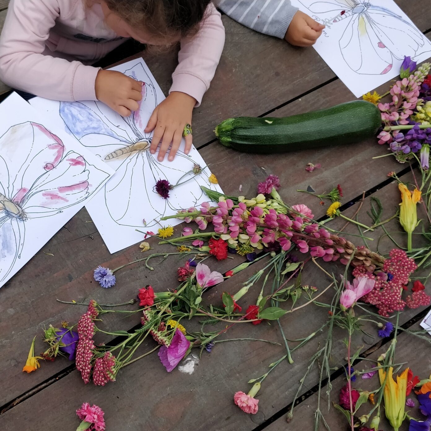 Conte sur les papillons et coloriages végétaux, à la Cueillette de l&rsquo;Aragnon Route de Pau Montardon