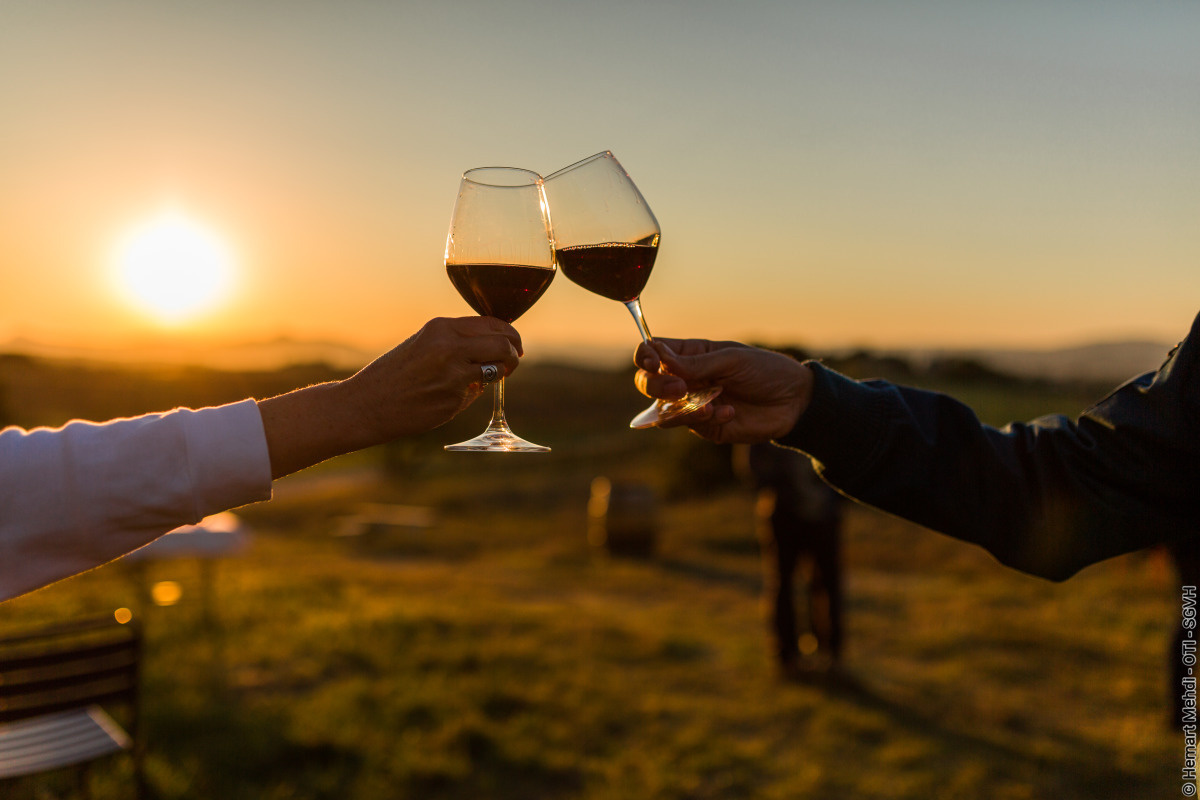 COUCHER DE SOLEIL ET DÉGUSTATION DE VINS SAINT-GUIRAUD Saint-Guiraud