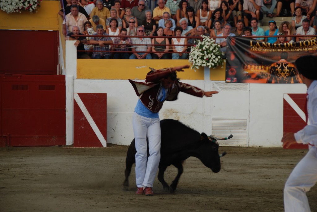 Course landaise Amou