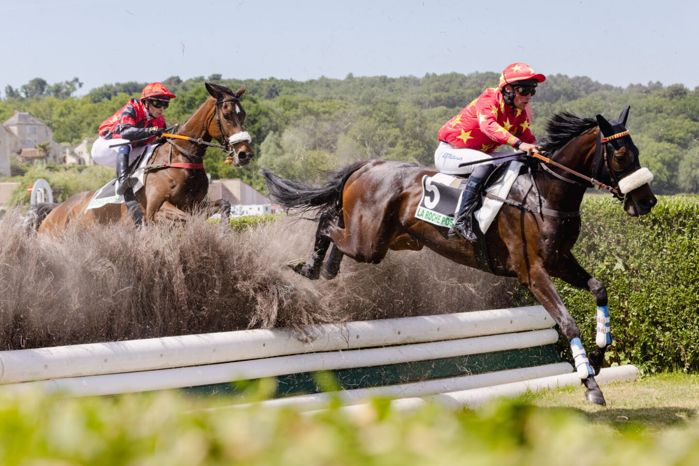 Courses hippiques Trot/Obstacle  La Roche-Posay