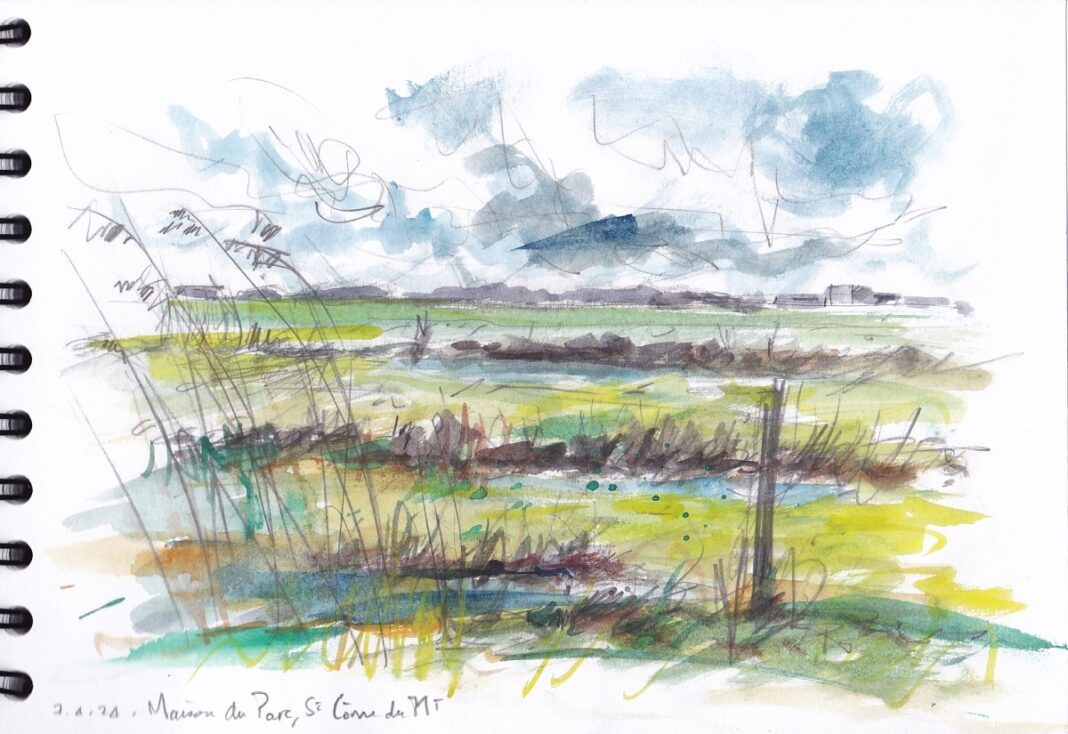 Croquis dans les marais Picauville