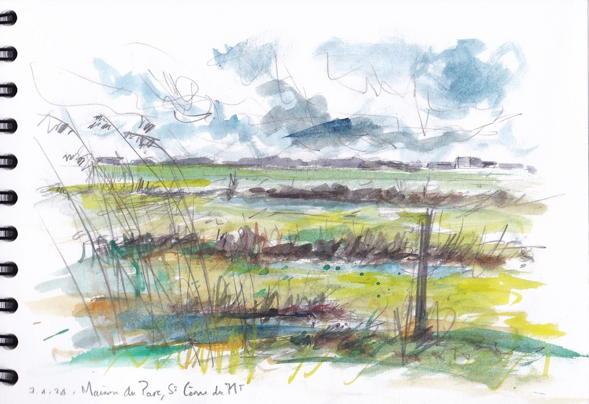 Croquis dans les marais Picauville