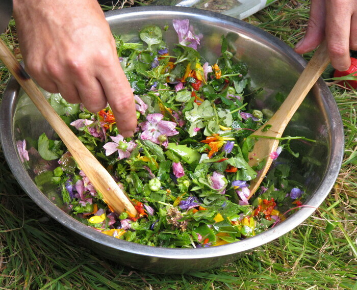 Cueillette de plantes sauvages comestibles Verger Au36 Brétigny-sur-Orge