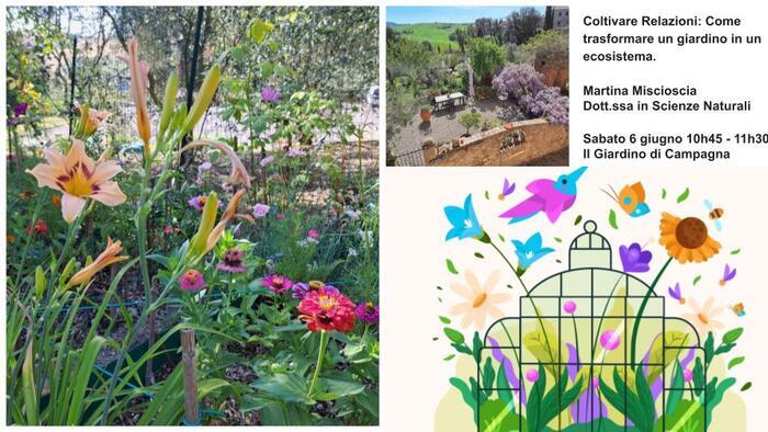 Cultiver les relations : comment transformer un jardin en écosystème., Il giardino di Campagna, San Giovanni d’Asso