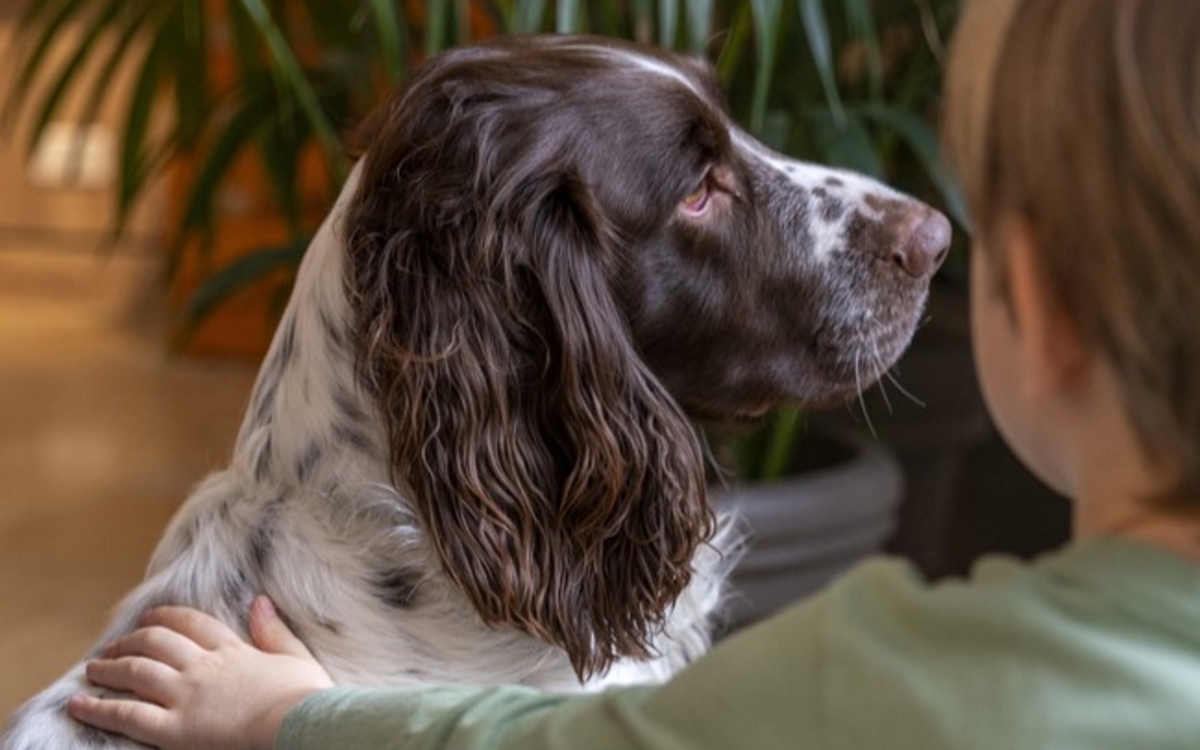 Dans la peau d’un chien Maison de l’animal en ville – Jane Goodall Paris