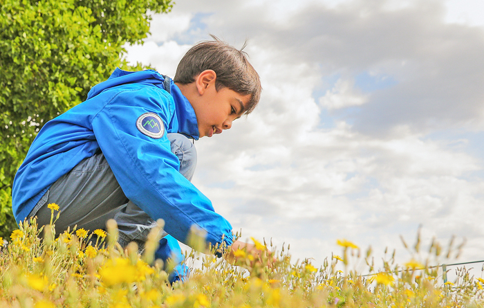 Découverte de la biodiversité Lac de la forêt Châtellerault