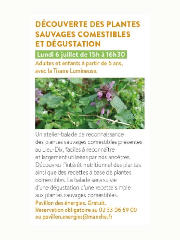 Découverte des plantes sauvages comestibles et dégustation Saint-Lô