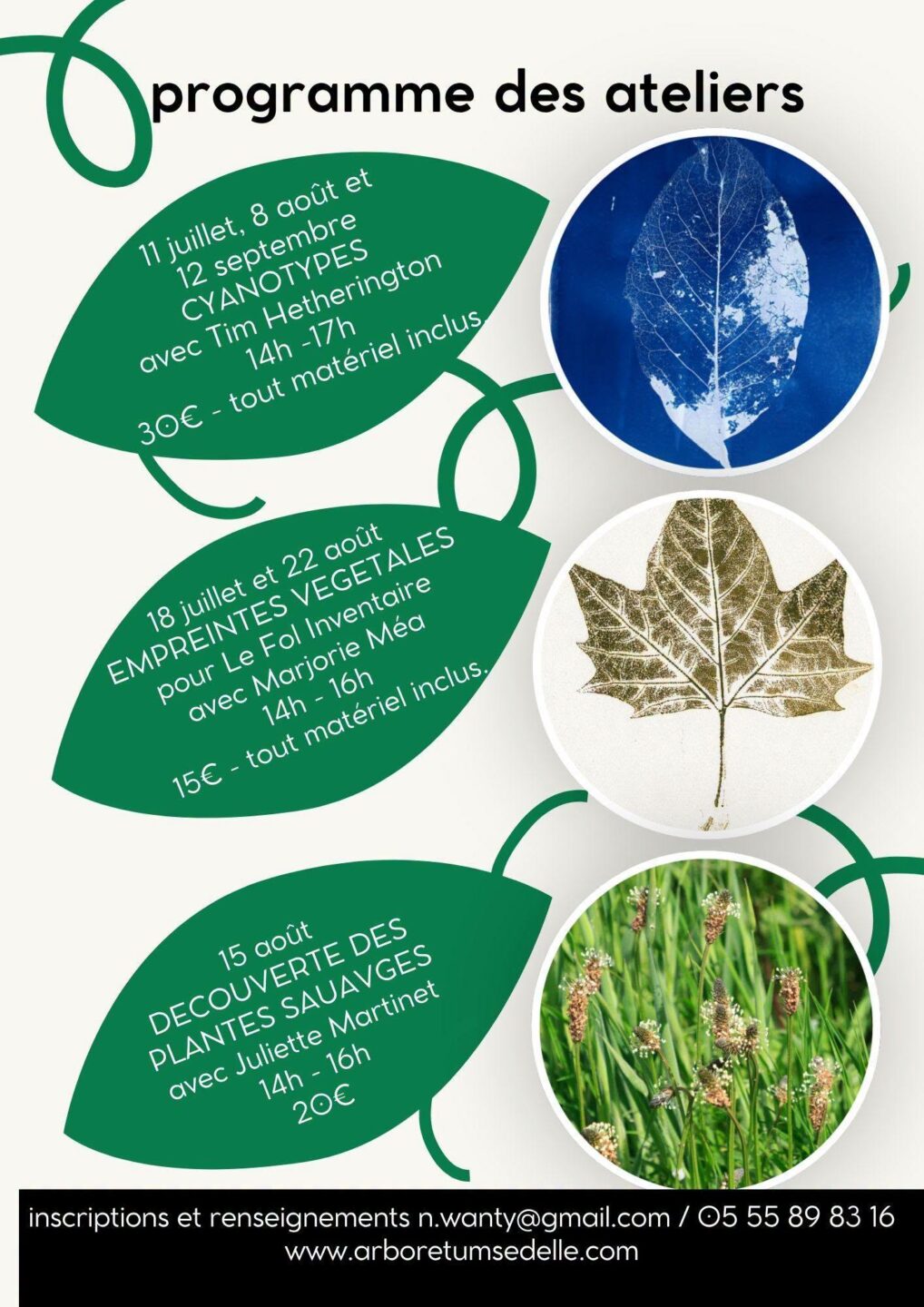 Découverte des plantes sauvages Crozant