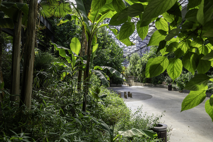 Découverte du Jardin des Fonderies Jardin des Fonderies Nantes