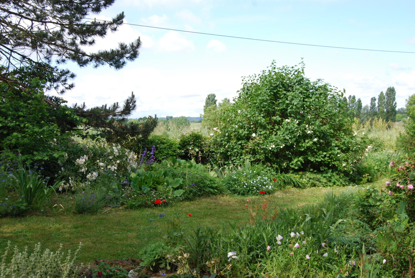 Découverte du jardin fleuri de Marie Ange Rumeau Lys de Vergnes Villeréal